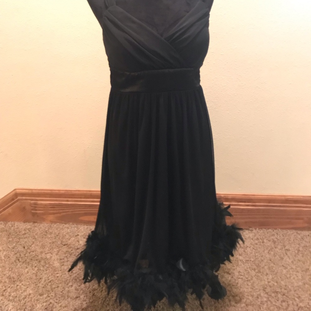 Fancy feather dress